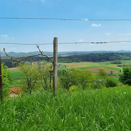 Apartment Marinceva Zidanica