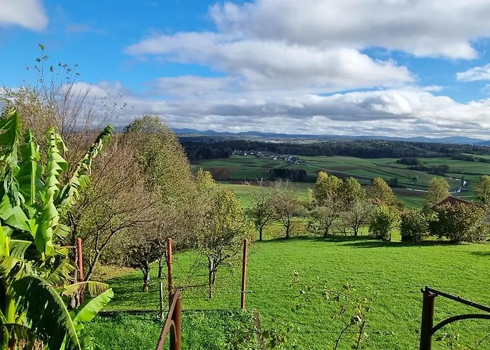 Marinceva Zidanica Apartment Crnomelj