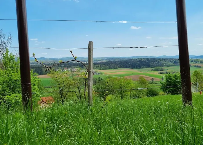 Apartment Marinceva Zidanica